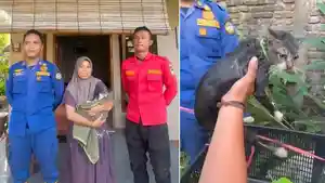 20260520-damkar-banyumas-selamatkan-kucing-tercebur-ke-sumur-8-meter-di-grendeng.jpg