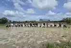 tanampadipali1.jpg