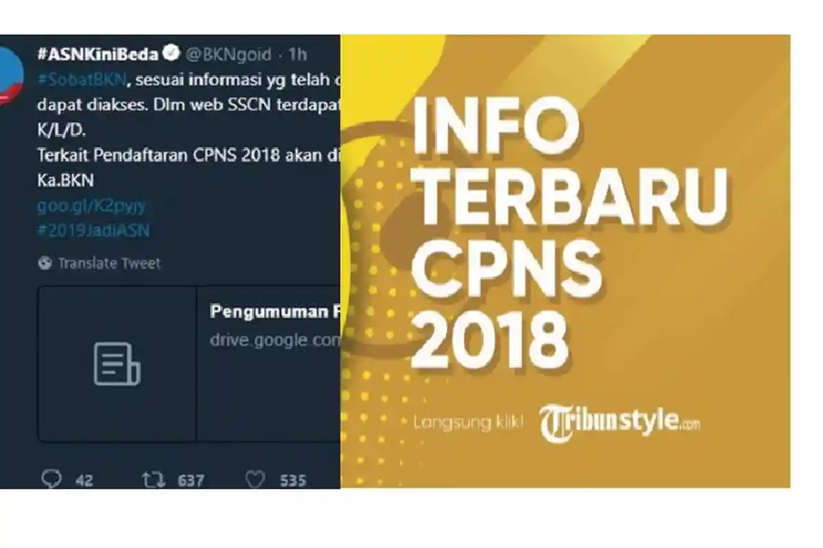 Penerimaan CPNS Dimulai Hari Ini, tapi Pendaftaran 26 September, Ada Formasi Khusus Loh!