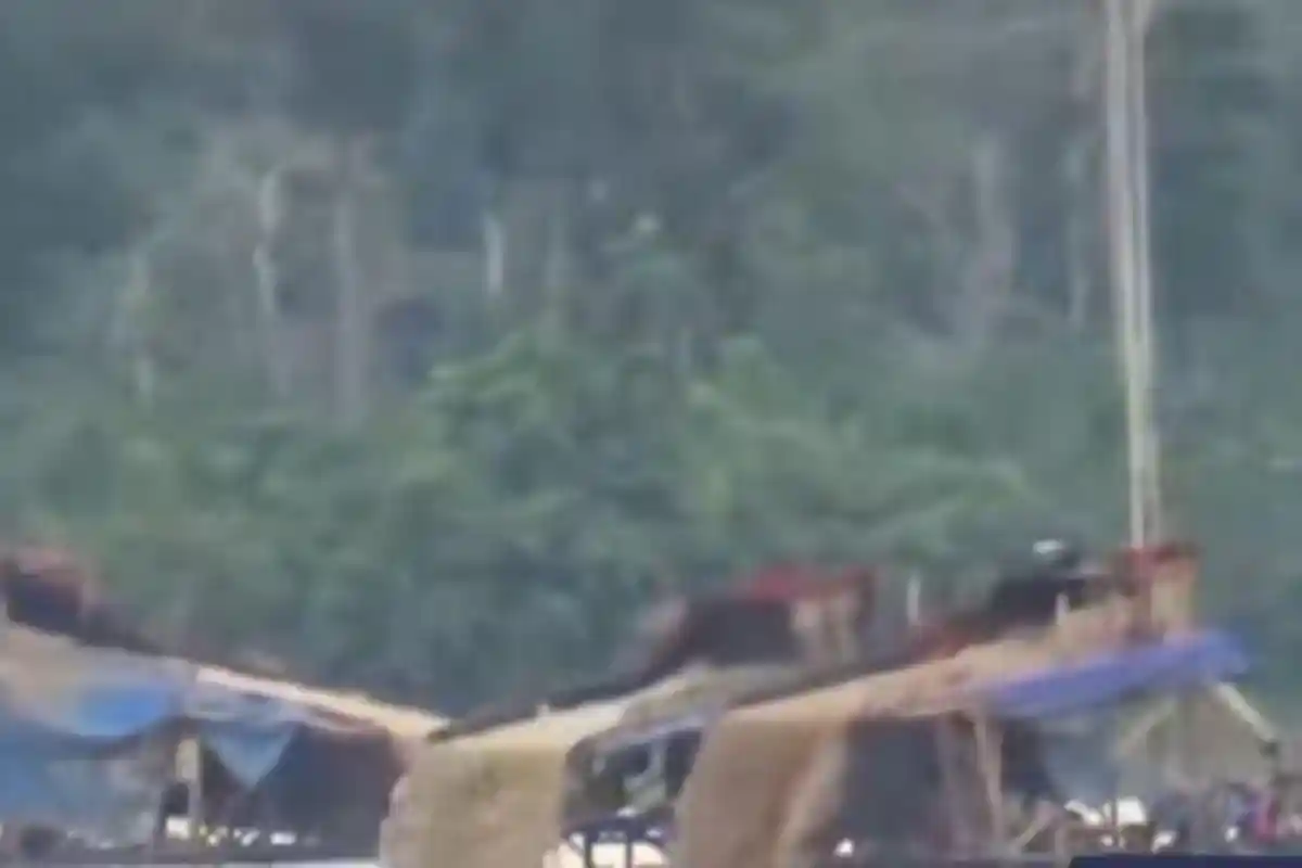 Mobil Ibu Camat Diadang Penjaga Tambang Emas Ilegal Dam Betuk Merangin, Disuruh Balik