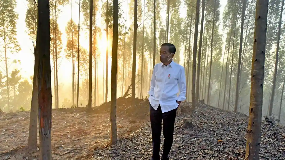Jokowi: Harus Ada Magnet Ekonomi Selain Jakarta dan Pulau Jawa