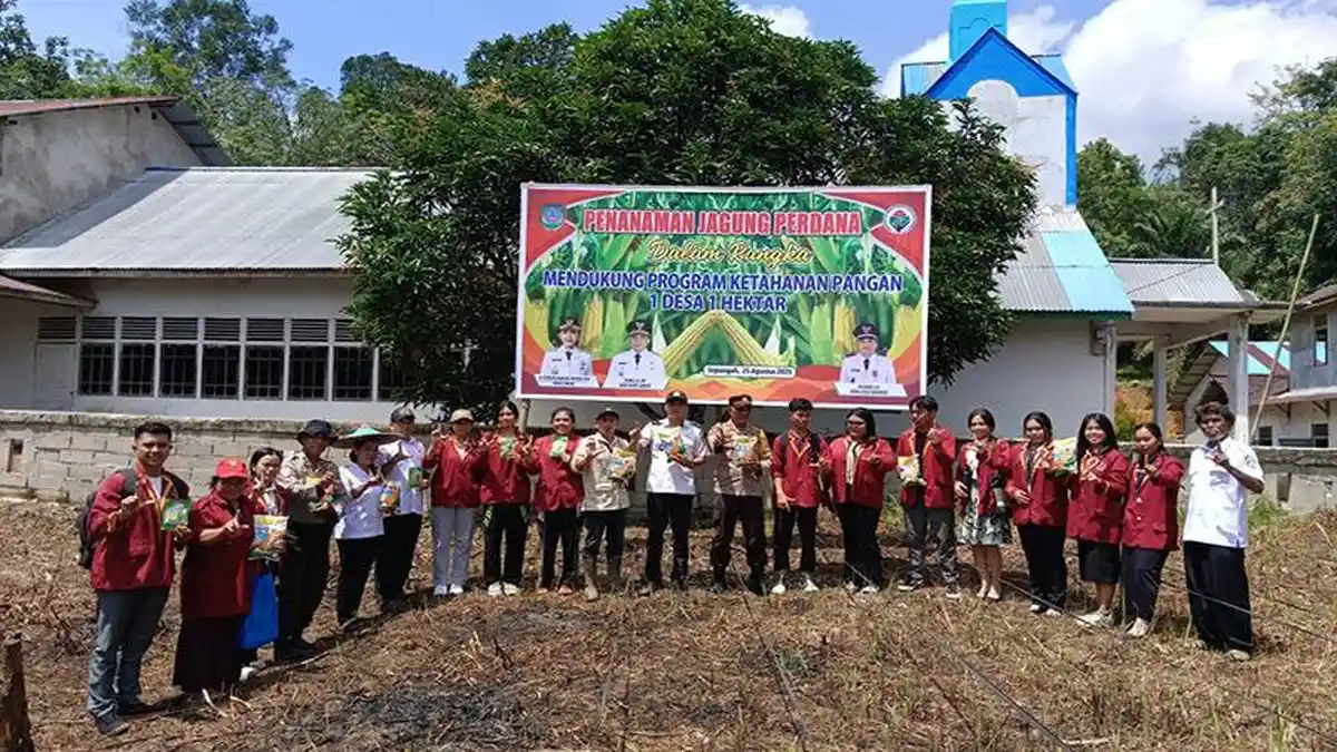Desa Sepangah Dukung Program Satu Desa Satu Hektar Tanam Jagung Perdana