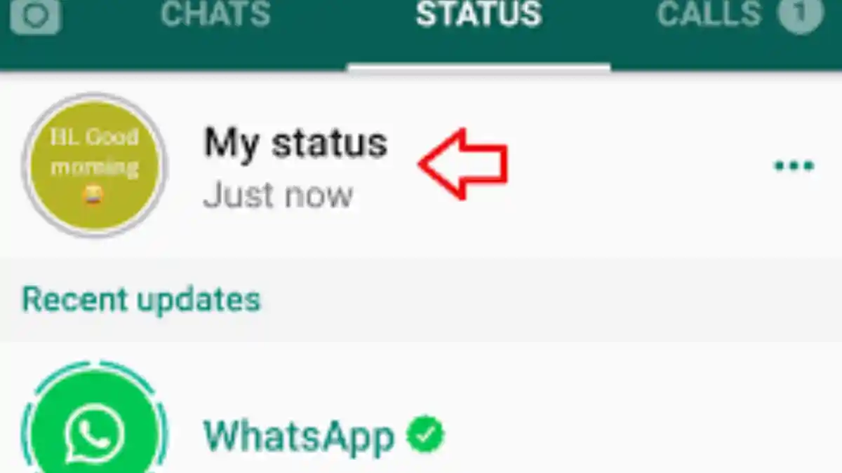 INGIN Upload Video Lebih dari 30 Detik di Status WhatsApp? Coba Cara Ini, Mudah Tanpa Root!