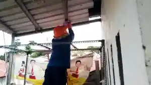 Tim-Rescue-Dinas-Kebakaran-Damkar-Kabupaten-Gowa-mengevakuasi-sarang-tawon.jpg