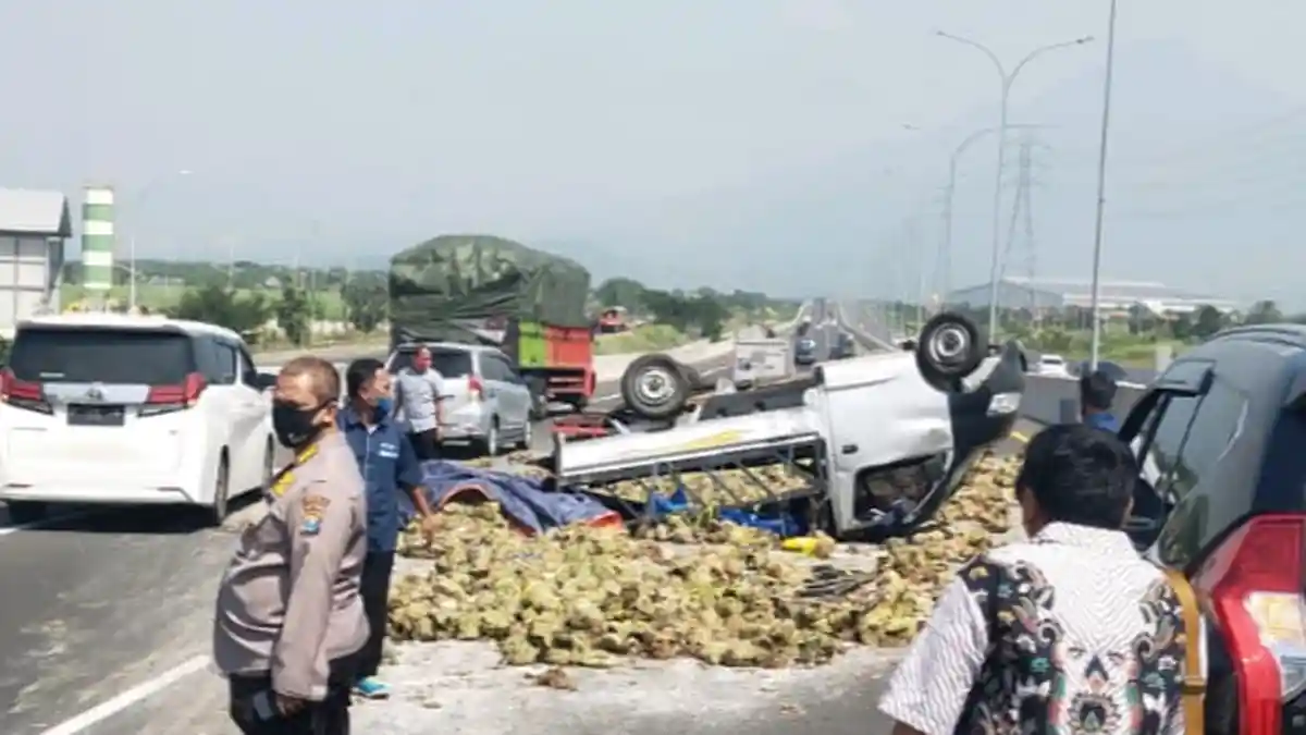 Ban Pecah, Mobil Pikap Muat Ikan Terguling di Tol Sidoarjo, Muatan Berserakan di Jalan, Sopir Luka