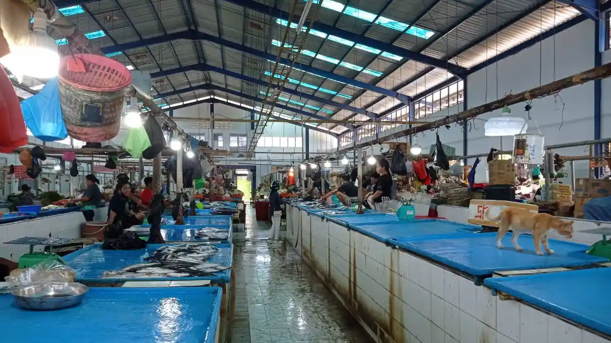 Harga Bandeng di Pasar Kabupaten Nunukan Naik Rp 30 Ribu Perkilo, Berikut Daftar Harga Ikan