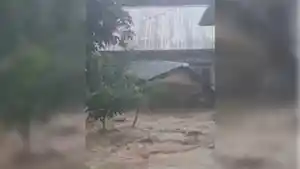 banjir_menggala_3848747jpg.jpg