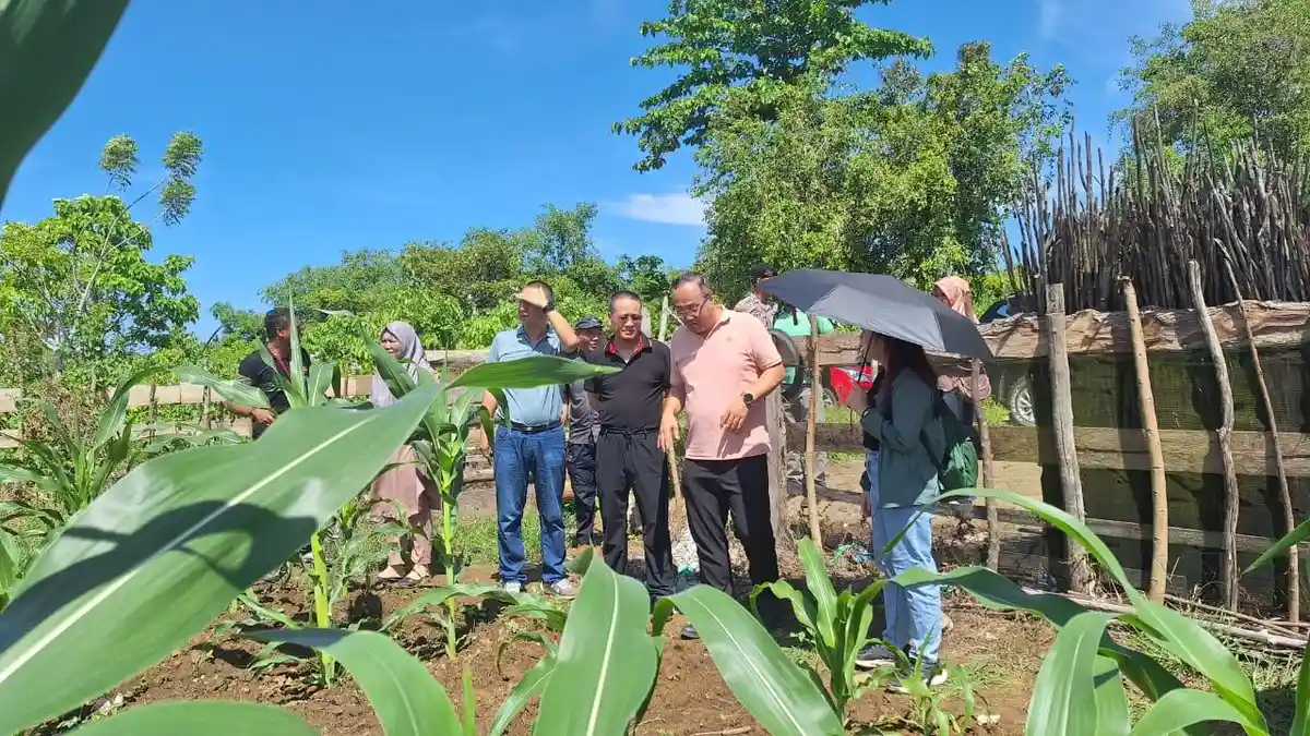 Dorong Kualitas Pangan Karyawan di Halmahera Selatan, MBO PT Wanatiara Persada Kunjungi Petani Lokal
