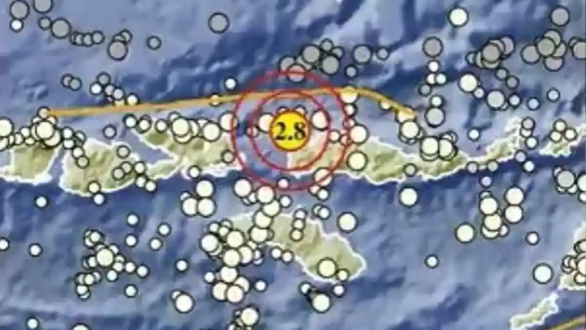 Gempa Terkini di NTT Pagi Ini Senin 13 April 2026, Berikut Info BMKG ...