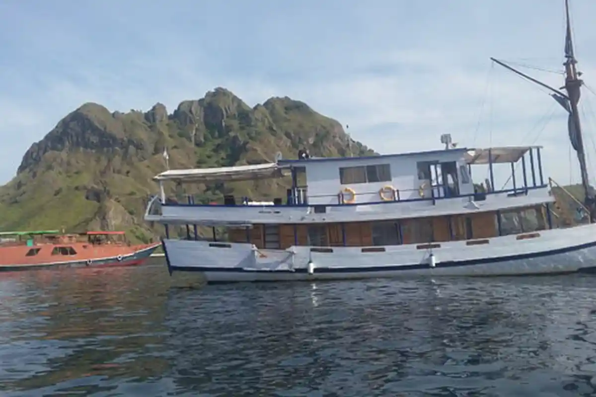 Tour Guide yang Umpan Komodo Dipanggil BTNK