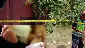 21092019-misteri-temuan-mayat-ibu-dan-bayinya.jpg