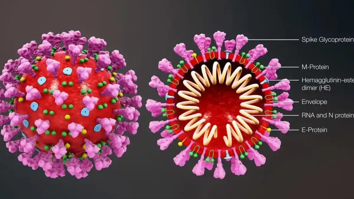 Ilmuwan China Membongkar Asal Mula Virus Corona yang Menyebar ke Dunia, Inilah Negara Asal Virus