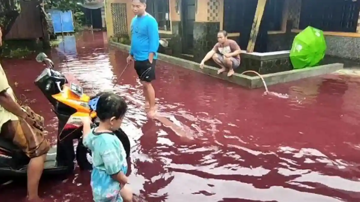 Heboh Banjir Warna Merah di Pekalongan Bukan dari Limbah, Ternyata Ada Warga yang Sengaja Buang Ini