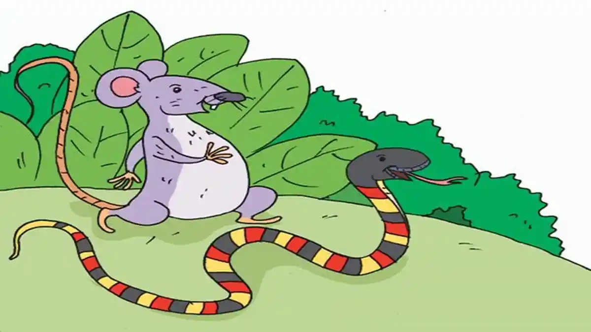 Mengapa Ular dan Tikus Dapat Hidup Bersama? Kunci Jawaban Tema 7 Kelas 2 Halaman 7-13 Buku Tematik