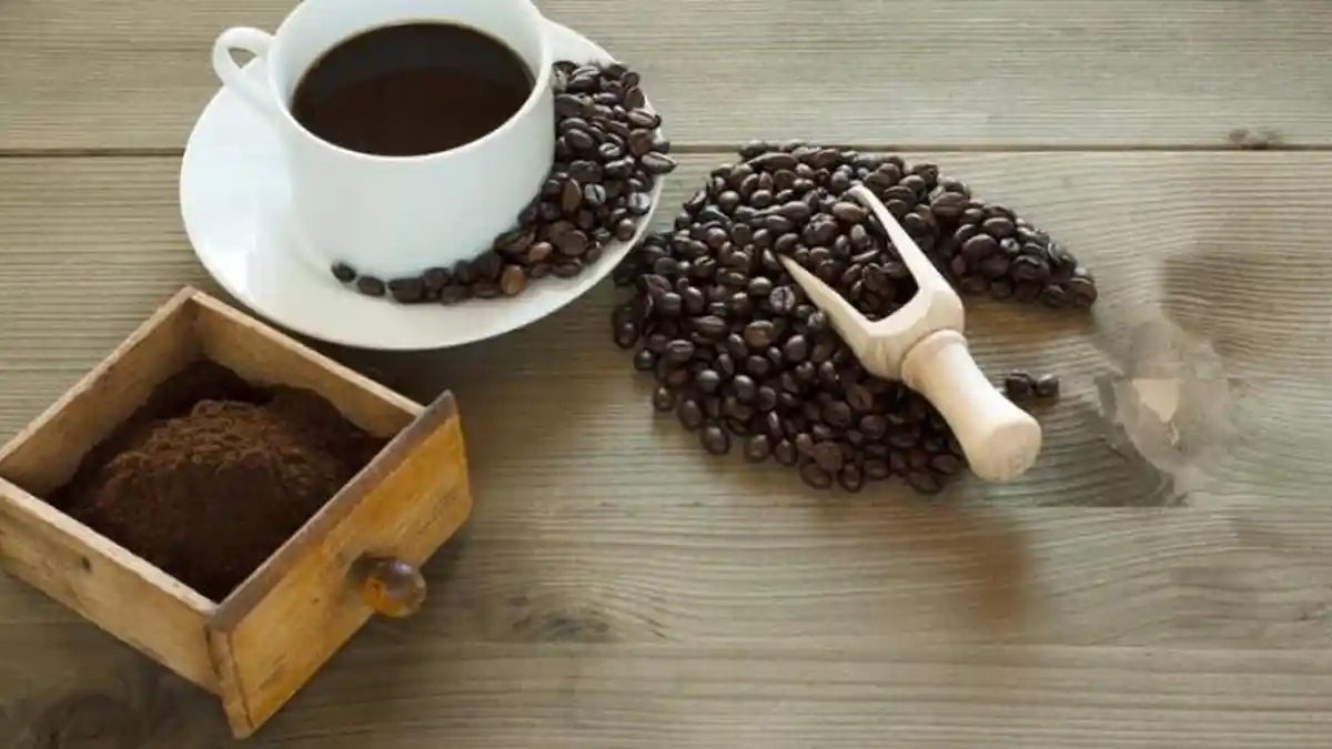 Tips Jitu Mengusir Tikus dari Rumah Menggunakan Bubuk Kopi, Begini Caranya