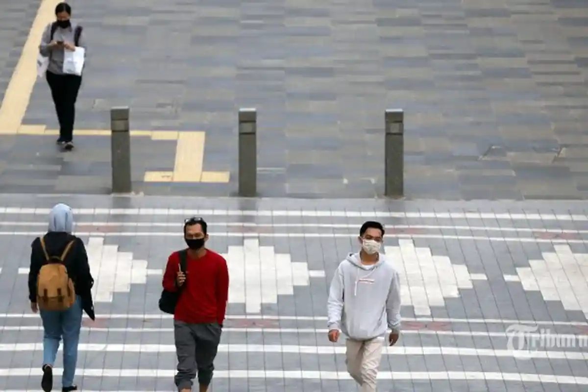 Istilah New Normal dan Herd Immunity di Tengah Pandemi Corona, Guru Besar FKUI Jelaskan Artinya