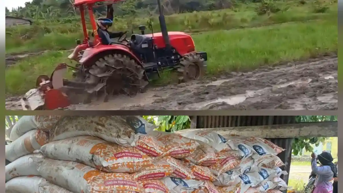 Dorong Produktivitas, Pemkab Nunukan Fokus pada Efisiensi Pertanian Bukan Sekadar Distribusi Bantuan