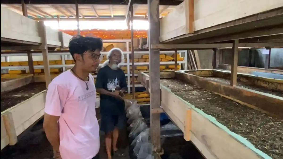 Tangkap Peluang Bisnis, Haji Sulaiman Mulai Budidaya Maggot di Makassar
