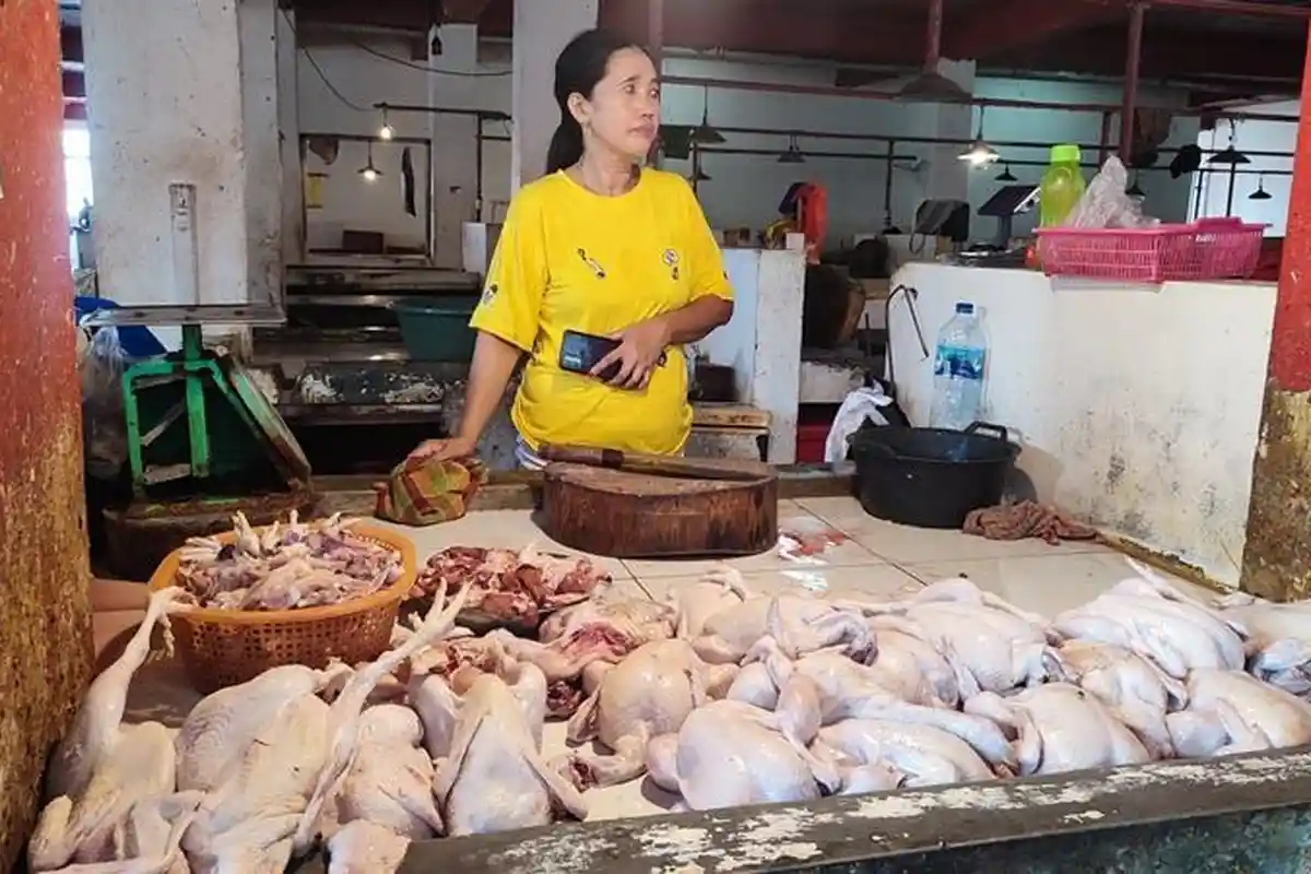 Update Harga Daging di Pasar Bersehati Manado Sulawesi Utara, Ayam dan Babi Naik, Sapi Stabil
