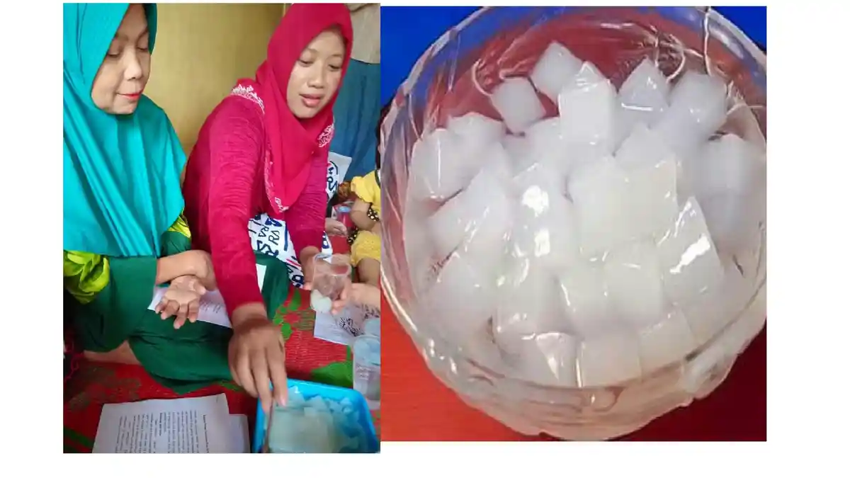 Kamu Harus Coba, Dosen Unja Ini Berhasil Buat Nata De Coco dari Tauge Sebagai Sumber Nitrogennya