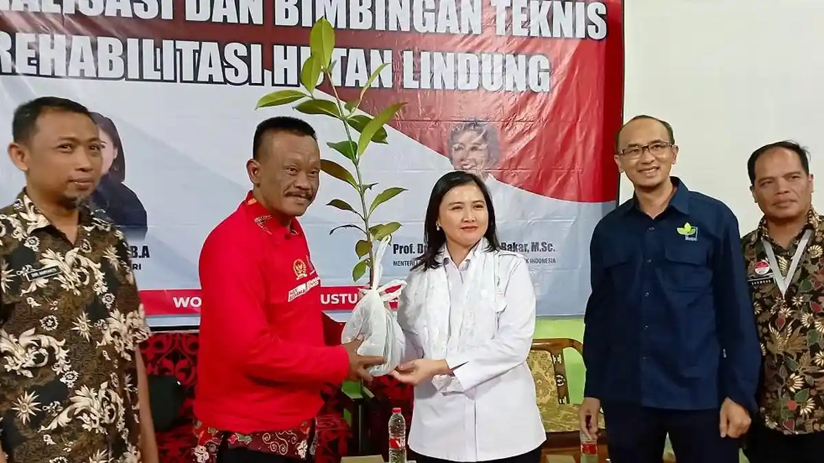 Rehabilitasi Hutan Lindung, Bibit Tanaman Dibagikan Ke Poktan di Desa Pungangan Wonosobo 