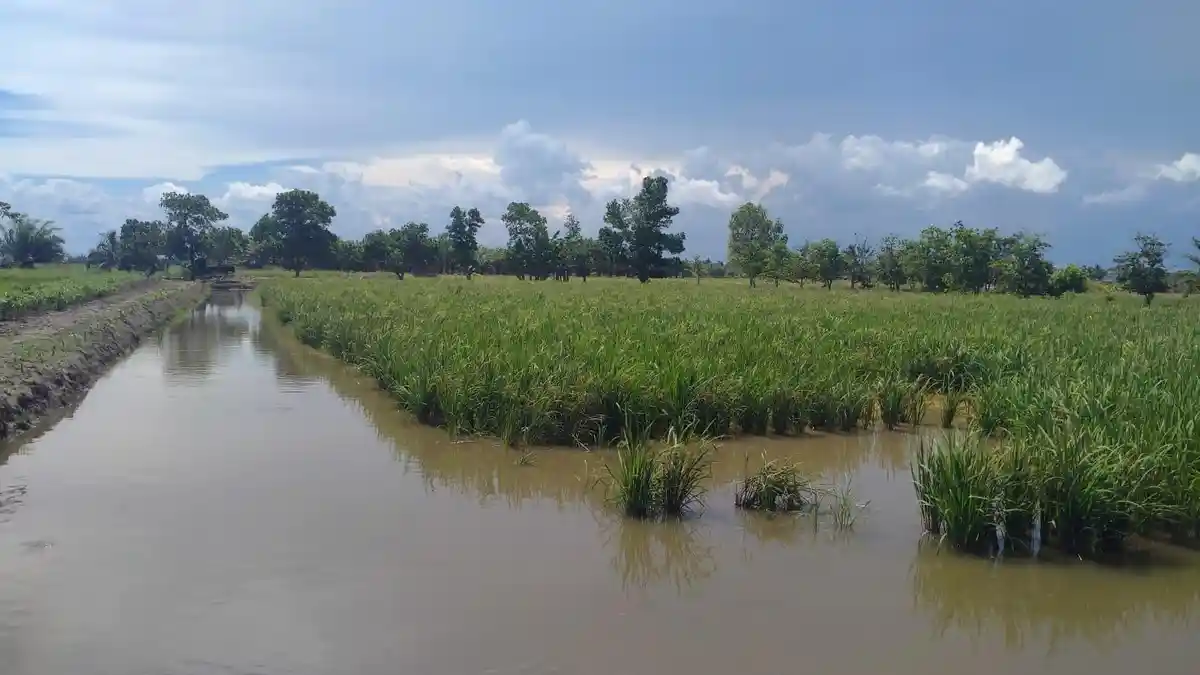 Bendung Gerak Sungai Telake PPU Bakal Jadi Lumbung Pangan bagi IKN
