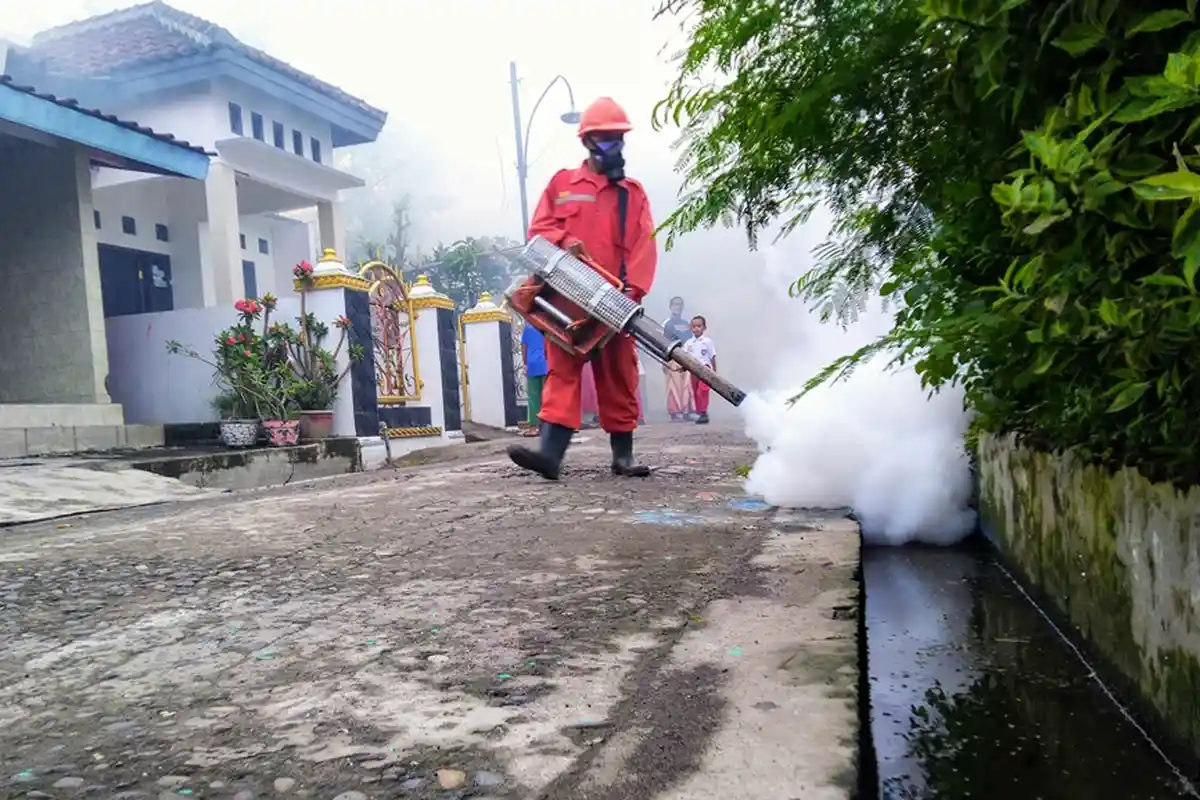 Jangan Lakukan Fogging Terlalu Sering! Ini Cara Efektif Berantas Nyamuk DBD Menurut Dinkes Rembang