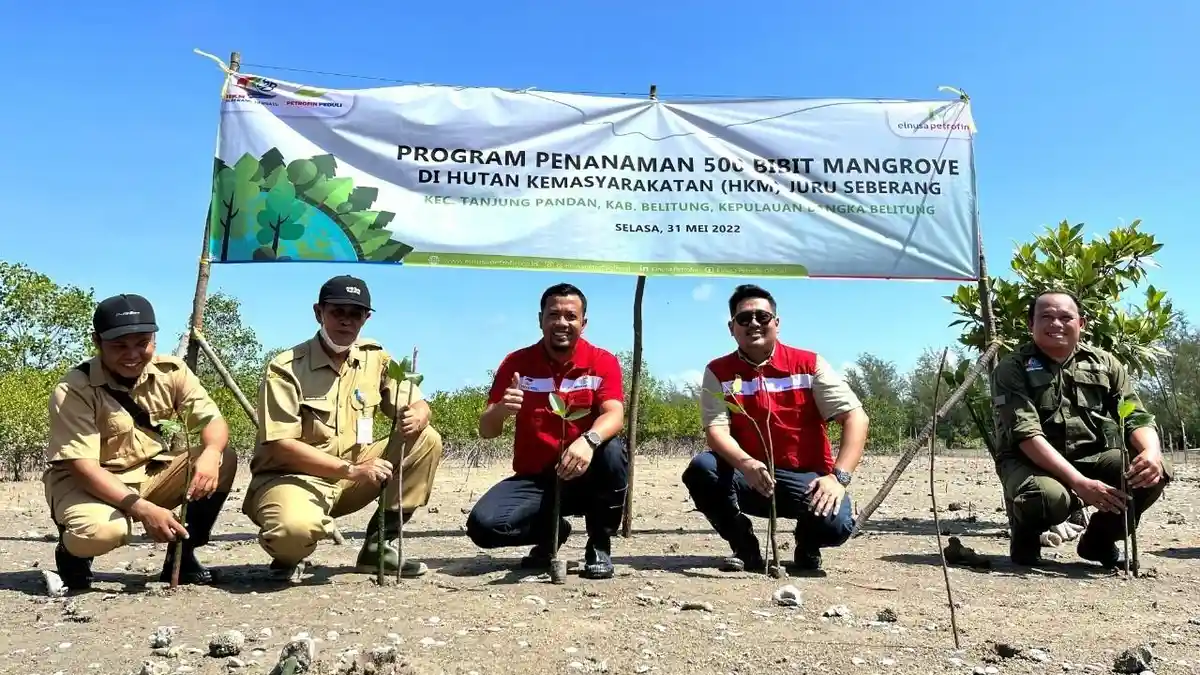Dukung Pelestarian Lingkungan, PT Elnusa Petrofin Kembangkan Area Pembenihan dan Tanam 500 Mangrove