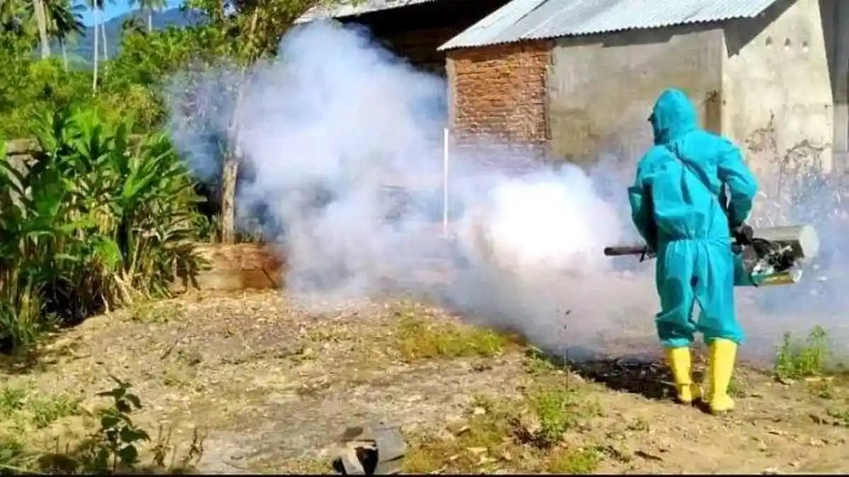 Awal Tahun 2025 Puluhan Kasus DBD Serang Minut Sulawesi Utara, Dinkes Lakukan Pencegahan