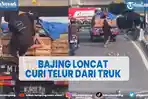 viral-bajing-loncat-curi-telur-dari-truk-bak-terbuka-pelaku-kini-ditangkap-polisi.jpg