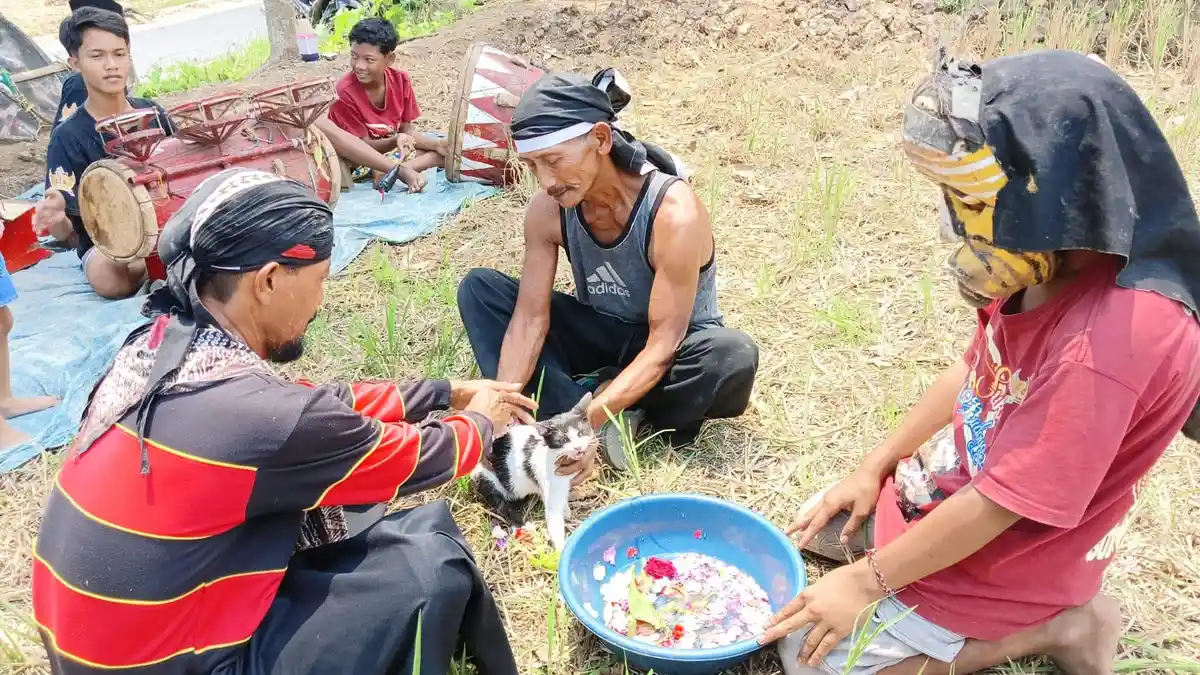 Memandikan Kucing Pakai Air Dawet, Tradisi Warga Bareng Jombang Minta Hujan