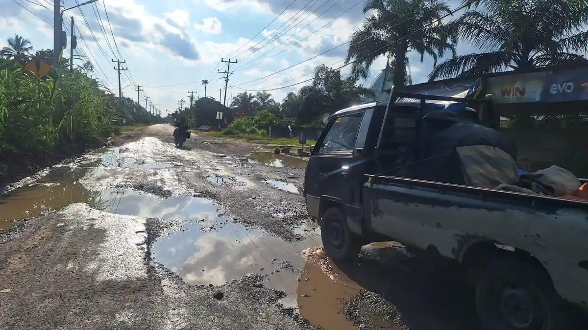 Ambulans Orang Sakit pun Sulit Lewat, Jalan Nasional di Tanjab Barat Rusak Parah