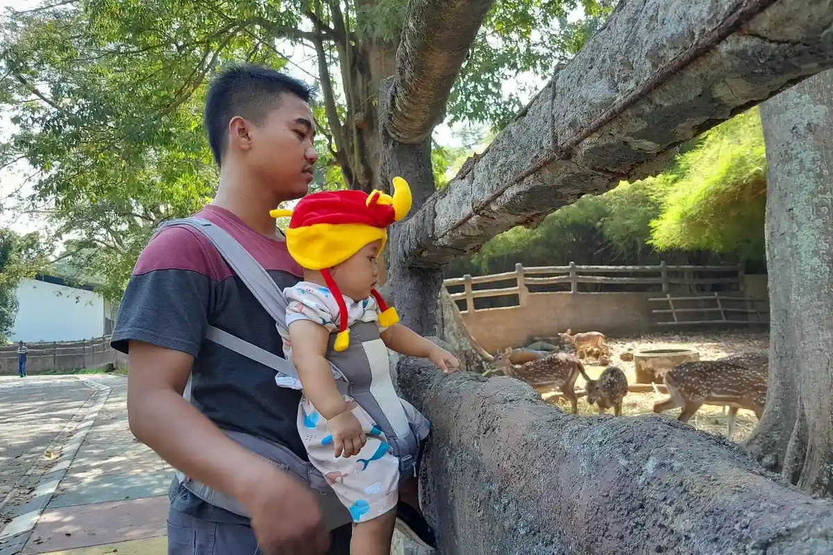 Libur Sekolah Catat Kenaikan Tingkat Kunjungan Wisatawan di Semarang Zoo