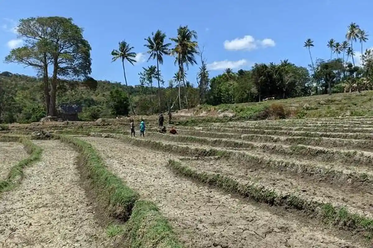 Dukung Program Pemerintah, BBPP Kupang Pantau Lahan PAT di Kota Kupang