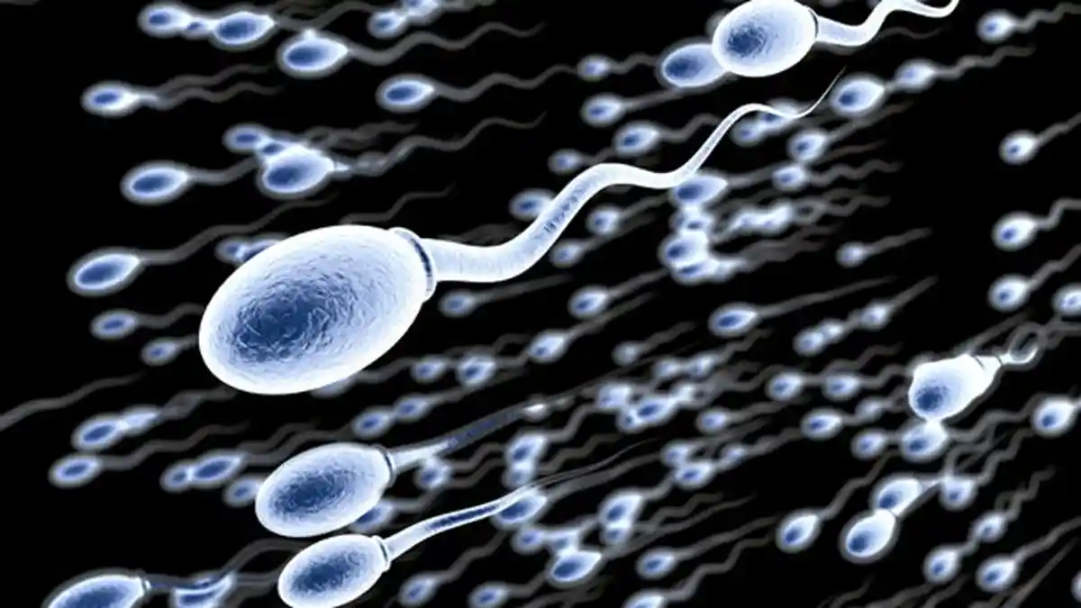 Sudah Miliki 9 Anak, Pria Ini Baru Sadar Bahwa Ia Ternyata Mandul, Istrinya Langsung Dicerai!