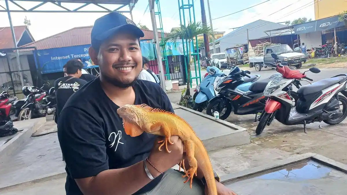 Memelihara Iguana, Bagi Wawan Warga Samarinda bisa Menghilangkan Stres