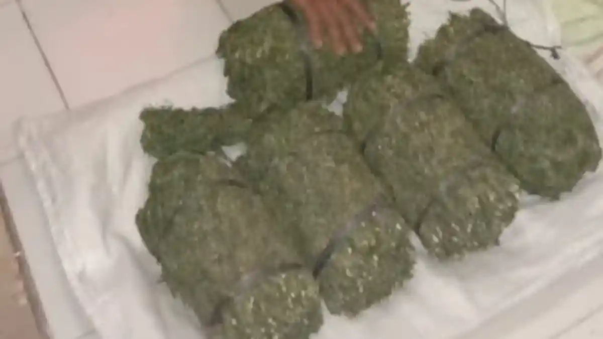 Polisi Tangkap Seorang Pengedar Ganja di Nagan Raya