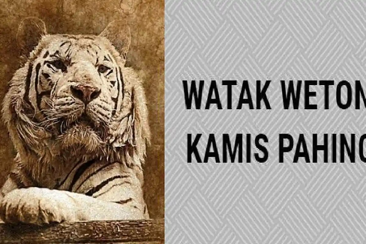 Ramalan Primbon Jawa 4 Juli 2024 Weton Kamis Pahing Khodam Macan Sakti, Keberuntungan dan Watak