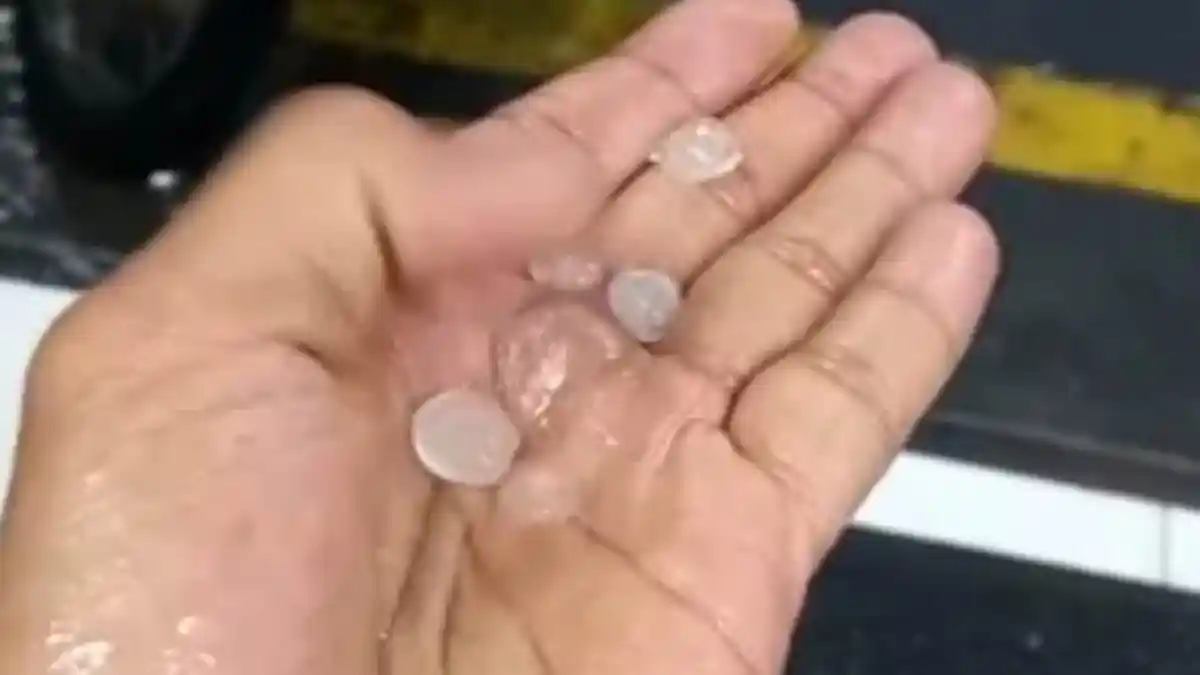 Fenomena Alam di Sragen, Hujan Es Beberapa Menit, Pohon-pohon di Jalan Bertumbangan