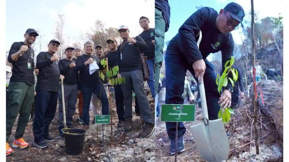 Sejarah 16 Maret: Hari Bakti Rimbawan, Tema Kegitatan Tahun 2024, Tujuan dan Alasan Melaksanakannya