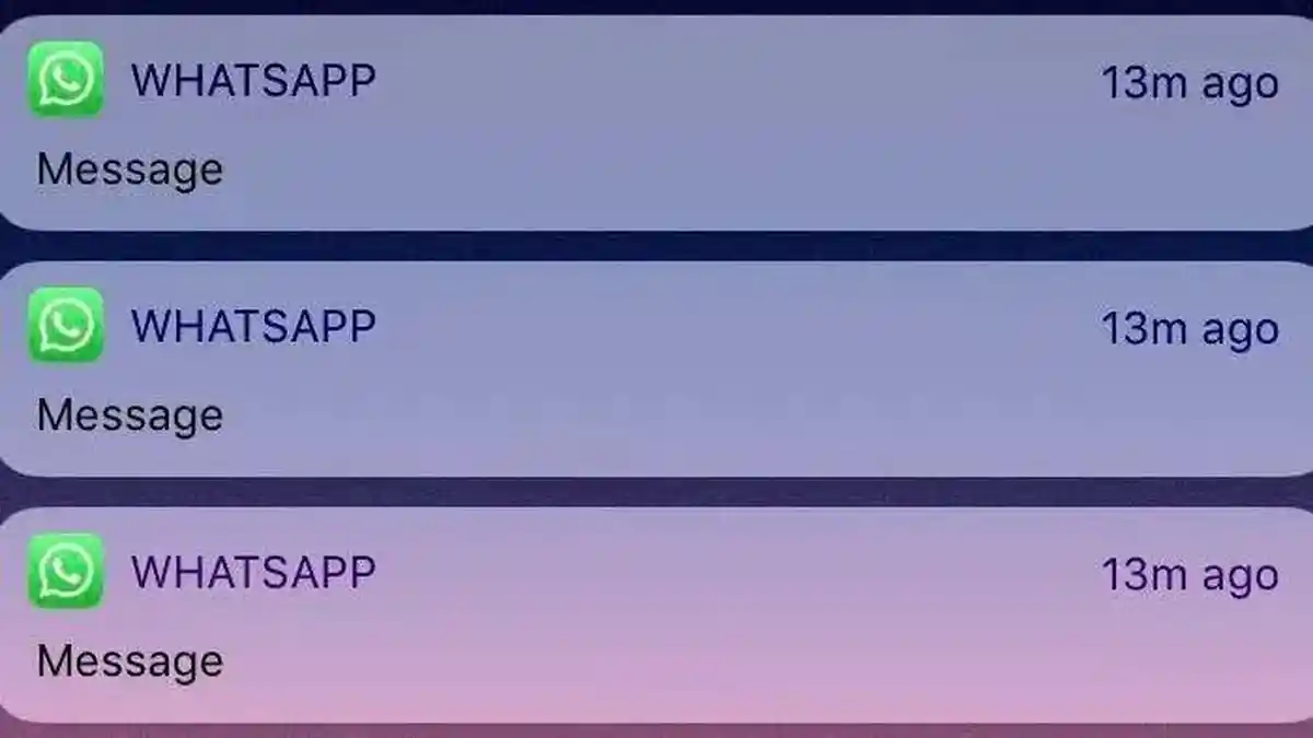 Cara Membisukan Notifikasi Chat WhatsApp Individu atau Grup, Ikuti Tutorial Mudah Ini