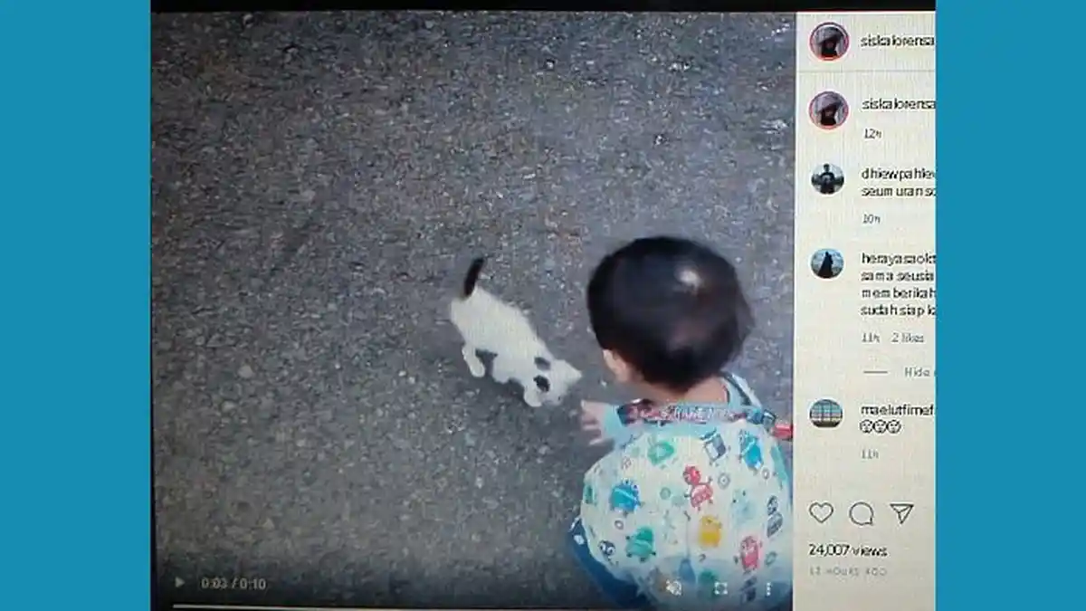 Gala Sky Main dengan Kucing di Luar Rumah, Video Terbarunya Diunggah Siska Lorensa ART Vanessa Angel