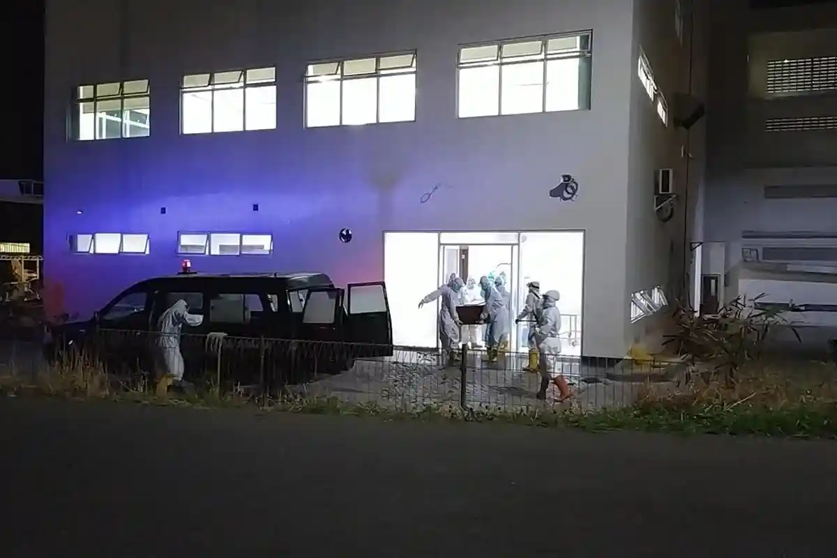 Pasien Covid-19 di Kota Kupang Meninggal Dengan Comorbid 