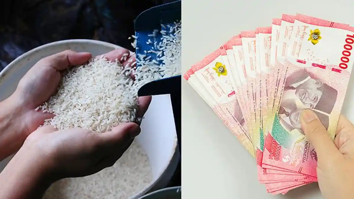 Pemerintah Salurkan Bansos Beras 10 Kg dan Diskon Listrik 50 Persen Awal 2025, Ini Cara Cek Penerima