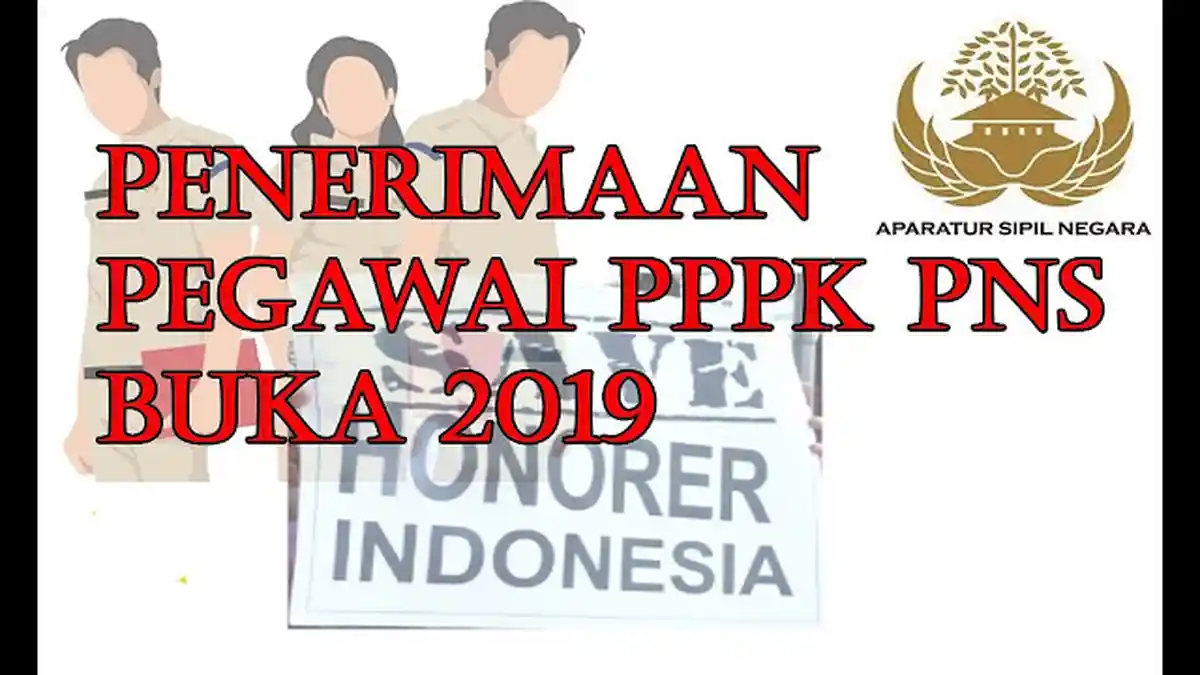 KABAR TERBARU PPPK/P3K 2019, Peluang Terbuka bagi Pelamar P3K/PPPK 2019 yang tak Lulus, Update BKN