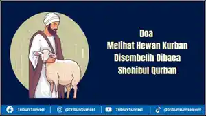 Ilustrasi-doa-melihat-hewan-kurban-disembelih-dibaca-shohibul-qurban.jpg