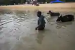 Banjir Rendam New Delhi, Aktivitas Masyarakat Lumpuh