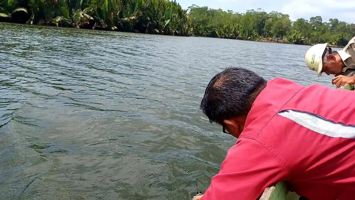 DLH Paser Uji Indeks Kualitas Air di DAS Adang Kuaro dan Talake
