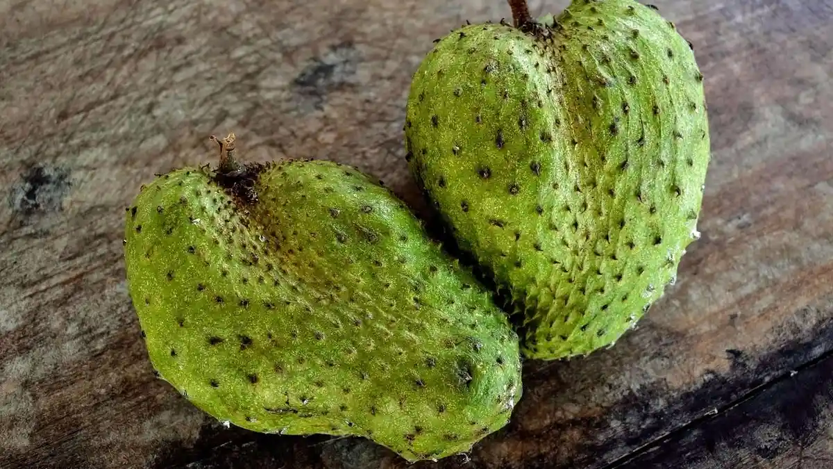 3 Kabupaten Penghasil Sirsak Terbanyak di DIY, Ada Gunungkidul