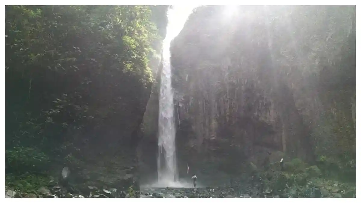 Eksplorasi Air Terjun Tersembunyi di Perbatasan Jambi-Sumbar yang Wajib Dikunjungi